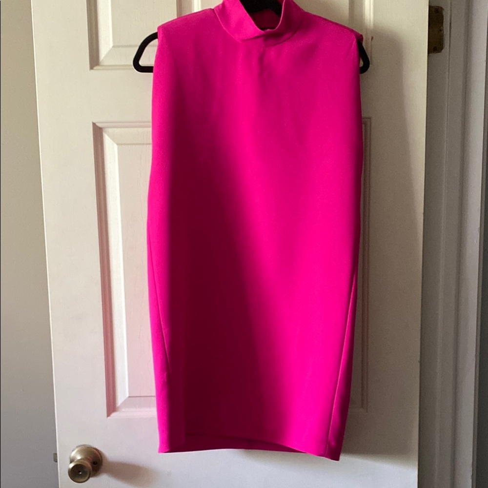 Zara Fuchsia Sleeveless mini dress






7/26